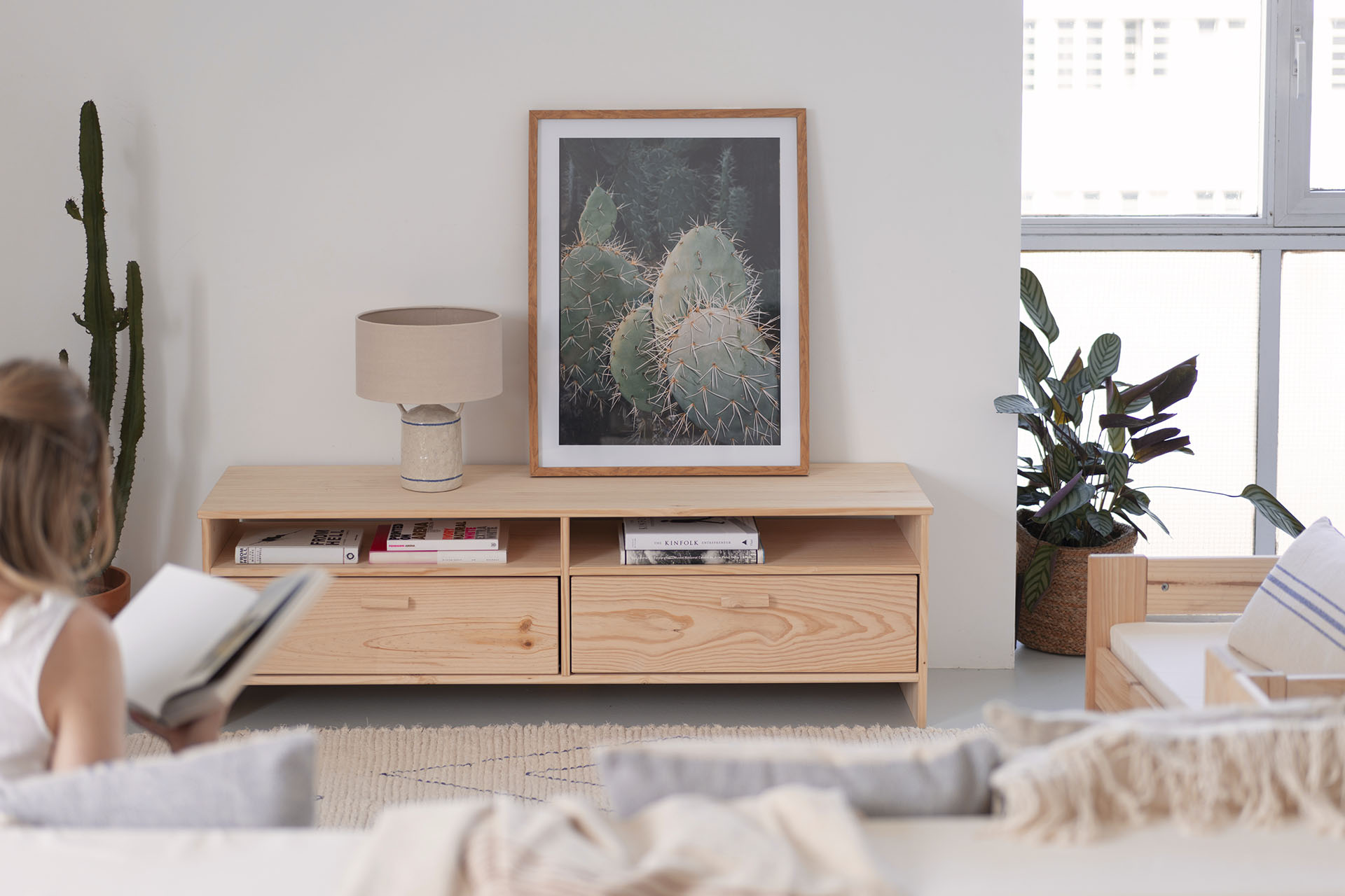 Imagen de ambiente 3 para:Mueble de tv de madera ecol&oacute;gica